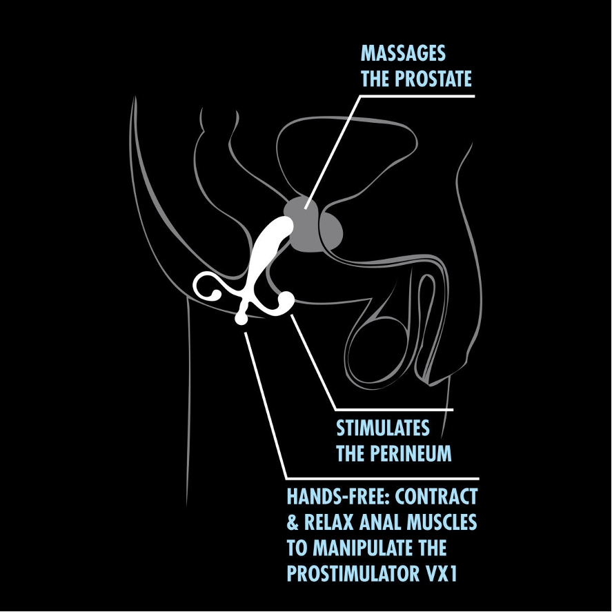 Anal Adventures By Blush® | Prostate Stimulator - Prostate Stimulation - by Blush Novelties - The Pink Case Sex Shop